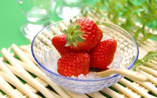 青岛红狮 VS 陕西联合